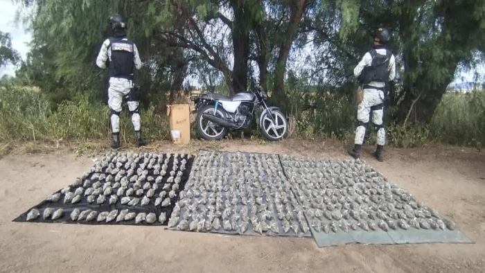 Paquetes de mariguana asegurados por la Guardia Nacional