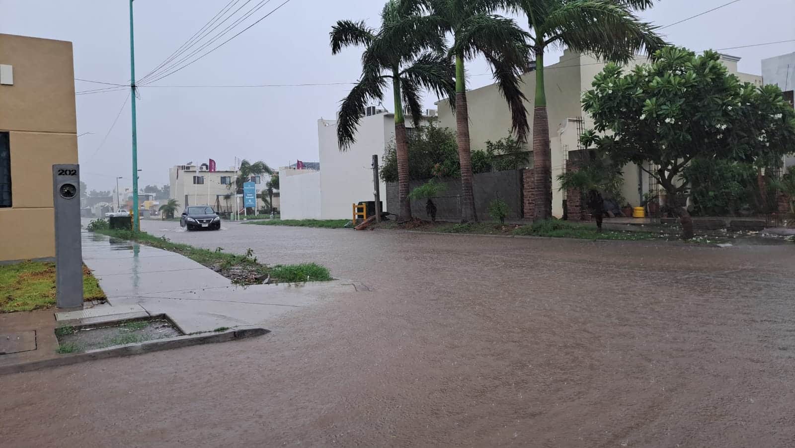 Lluvias en Guasave