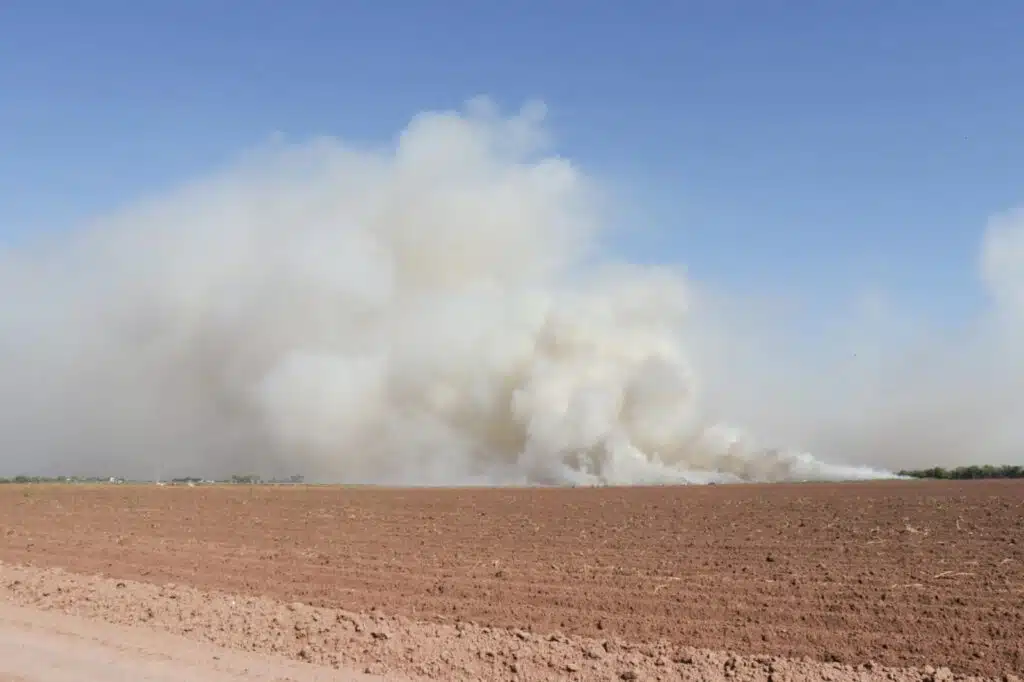 Gigantescas columnas de humo por la quema de soca de espárrago.