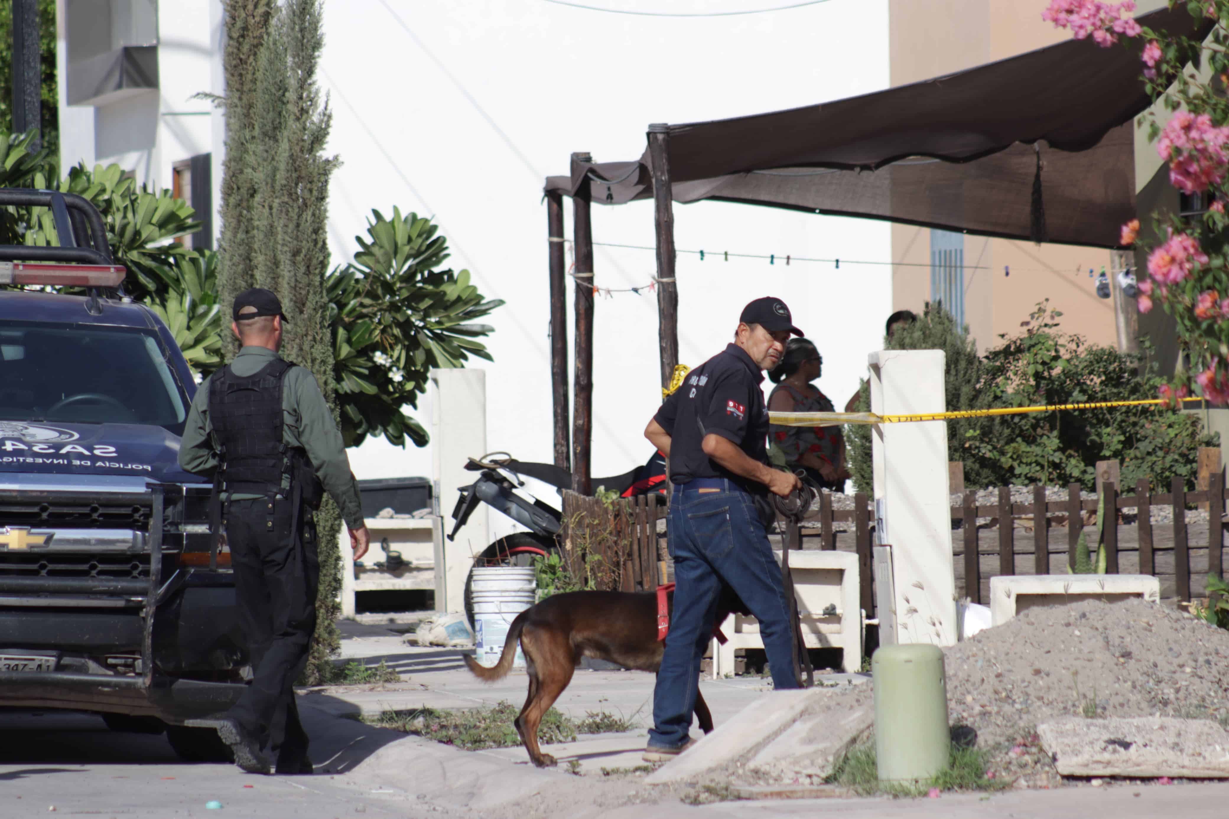 Binomio canino en Los Mochis
