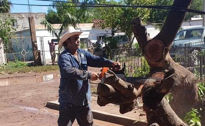 El Jeny cortando troncos de árboles
