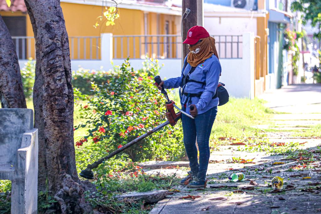 Poda de césped en vía pública