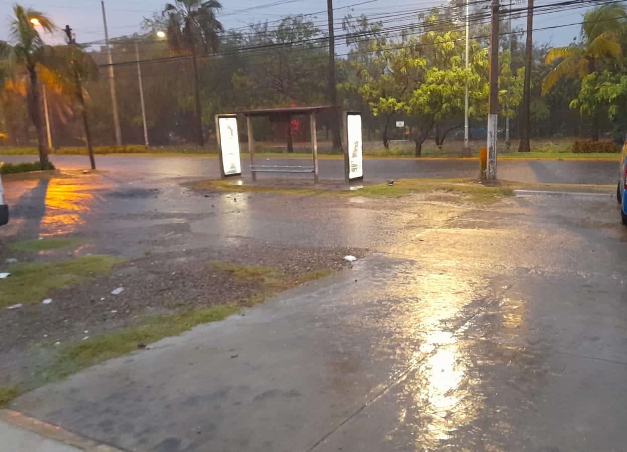 Palmeras, cables, lluvia