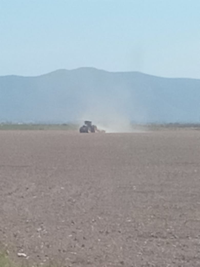 Sequía a afectado a la agricultura