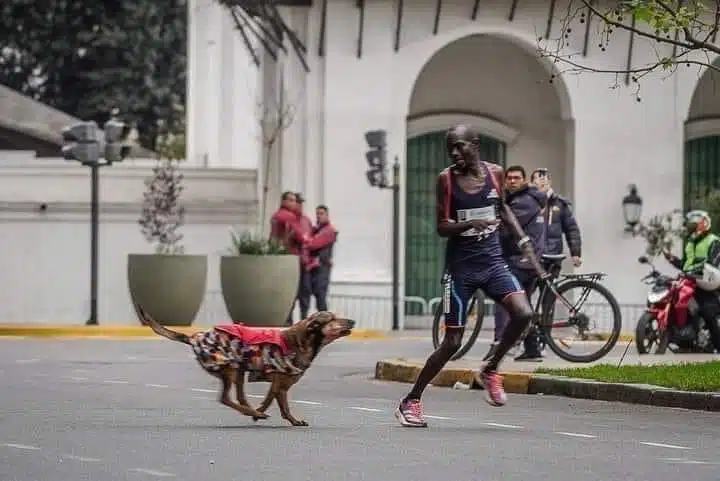 Lomito le cuesta la carrera a un keniano en Argentina; termina en tercer lugar