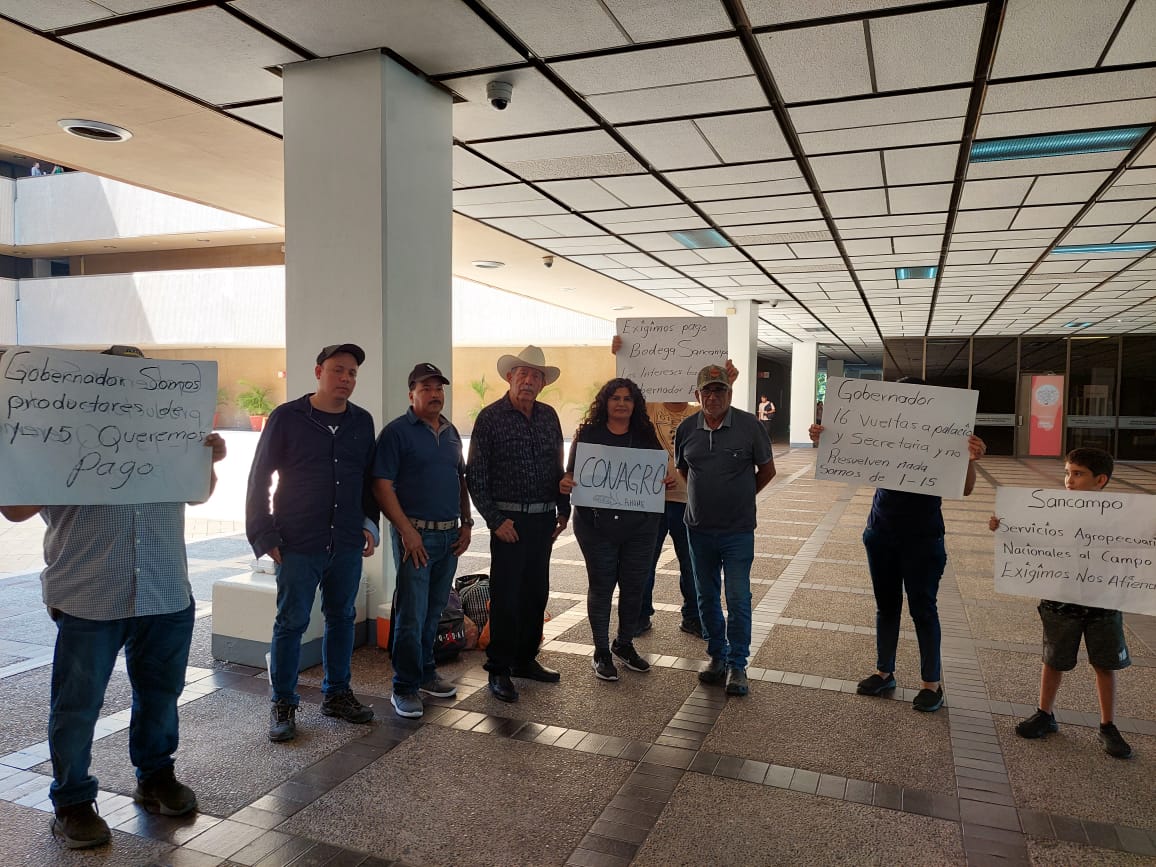 Productores de maíz