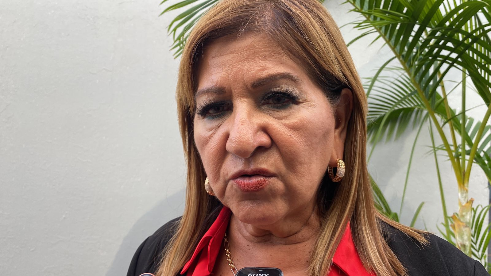 María Teresa Guerra