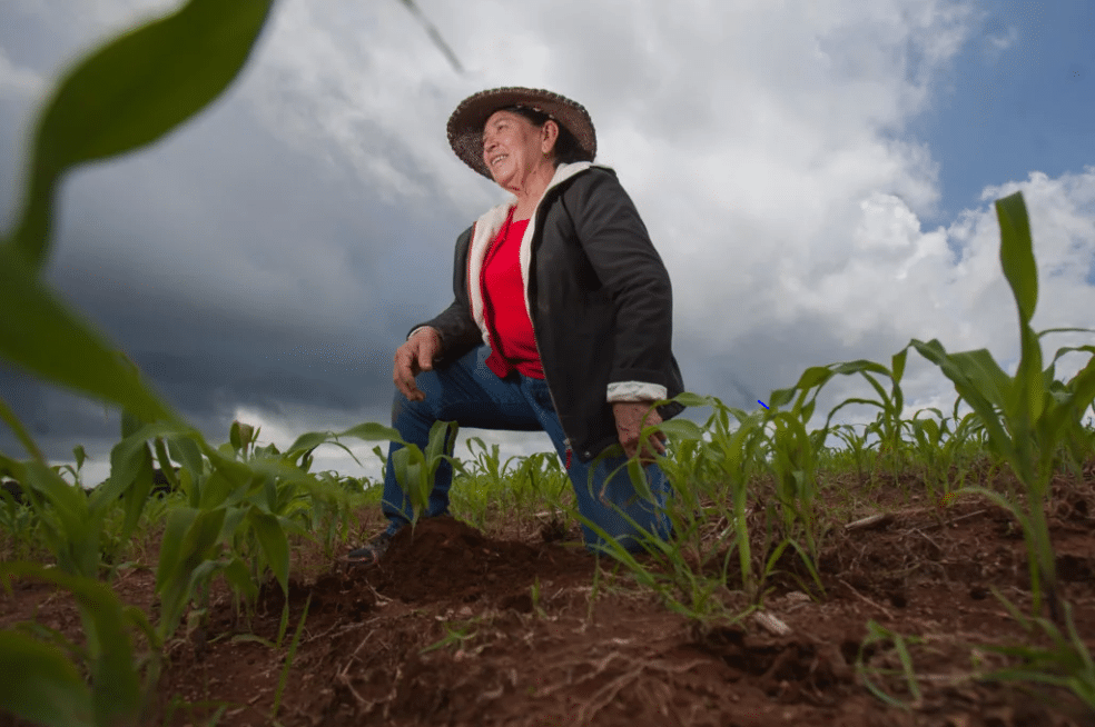 Mujer en un campo de cultivo