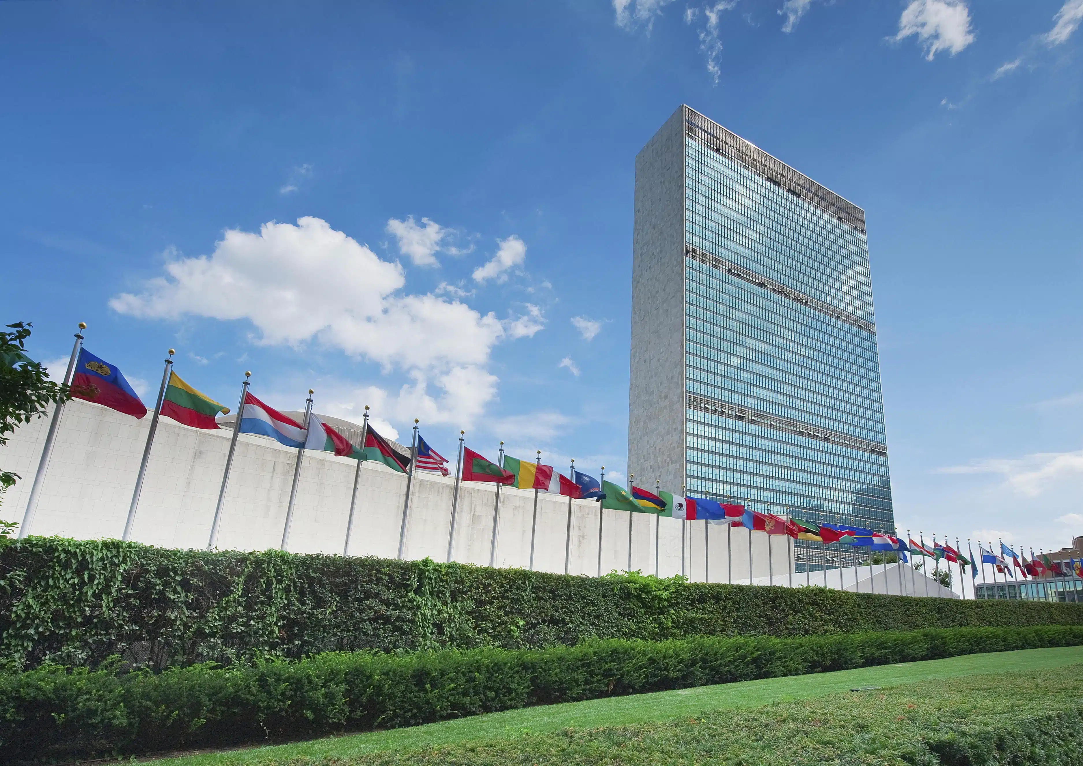 Organización de las Naciones Unidas (ONU)