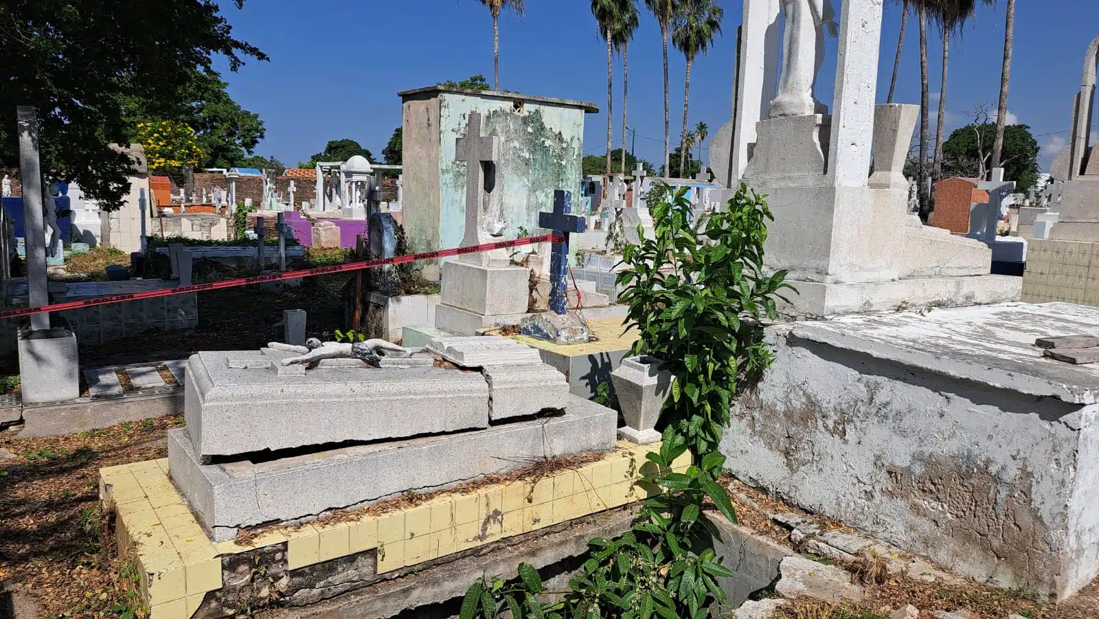Actualmente existen alrededor de 2 mil tumbas en estado de abandono, en el panteón de Mazatlán.