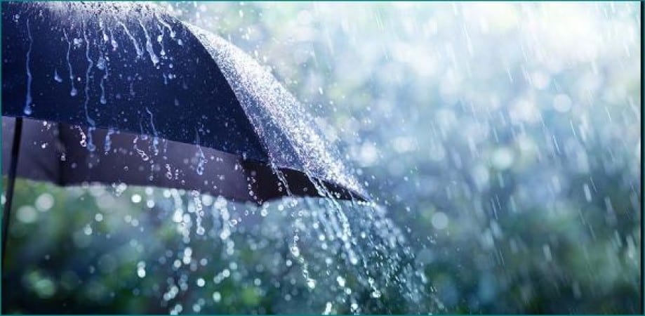 Paraguas bajo la lluvia