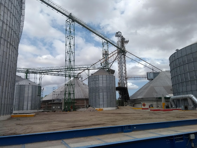Bodeguera de Guasave