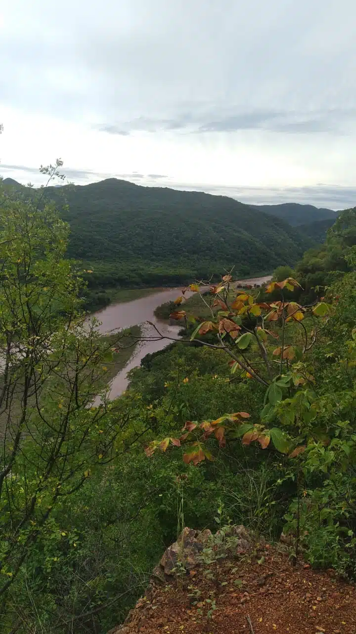 Río Sinaloa