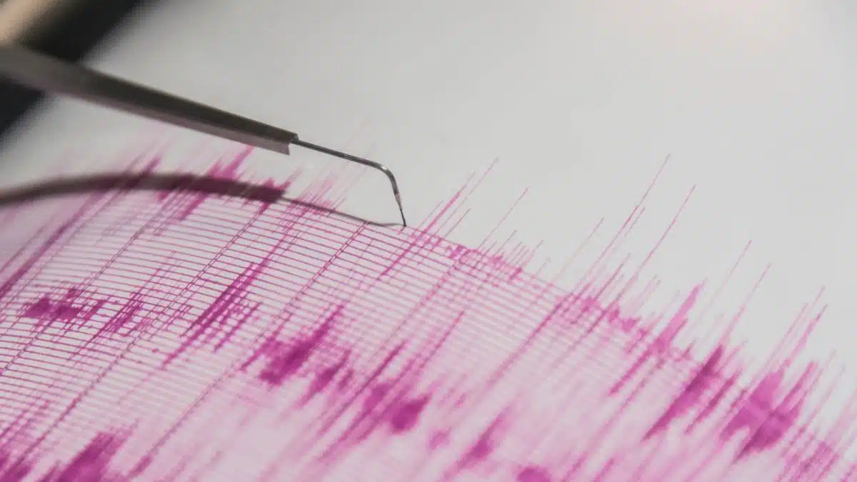 Líneas que marca un sismógrafo