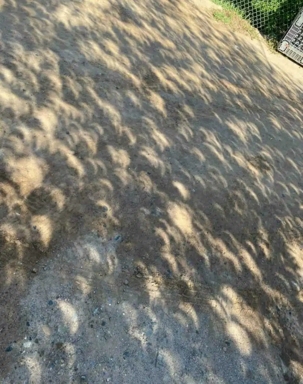 Sombra y reflejo del eclipse anular