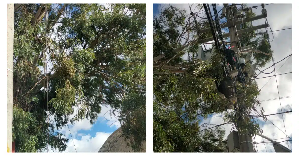 Cables de alta tensión que ponen en peligro a la primaria “Alfredo V. Bonfil”