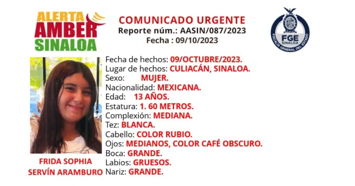Ficha de búsqueda de Frida Sophia Servín Arámburo