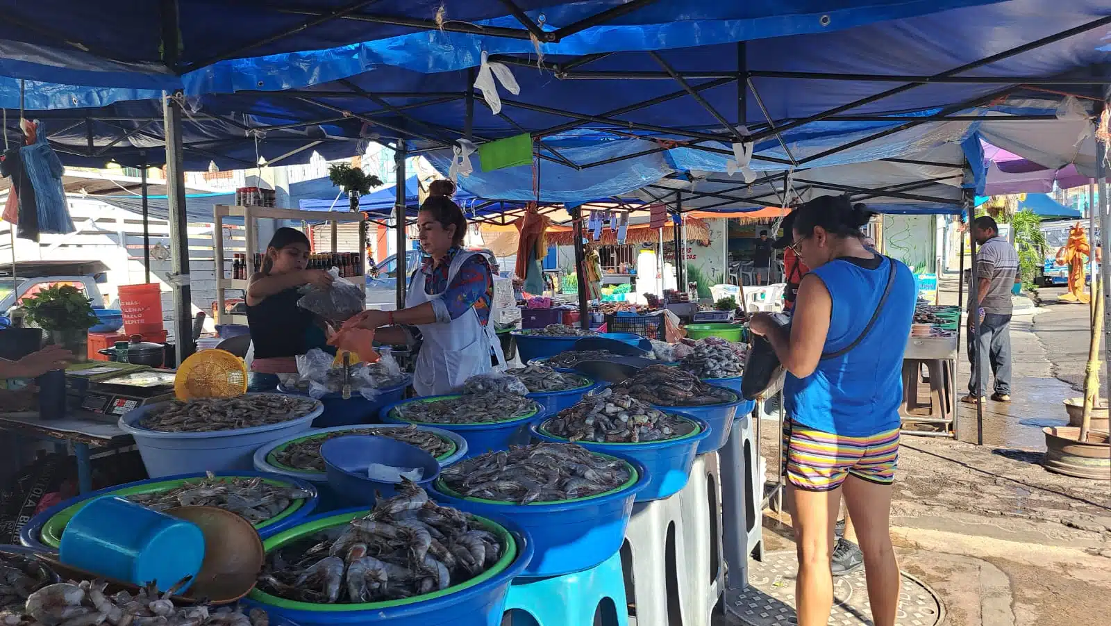 Venta de camarón con las changueras en Mazatlán