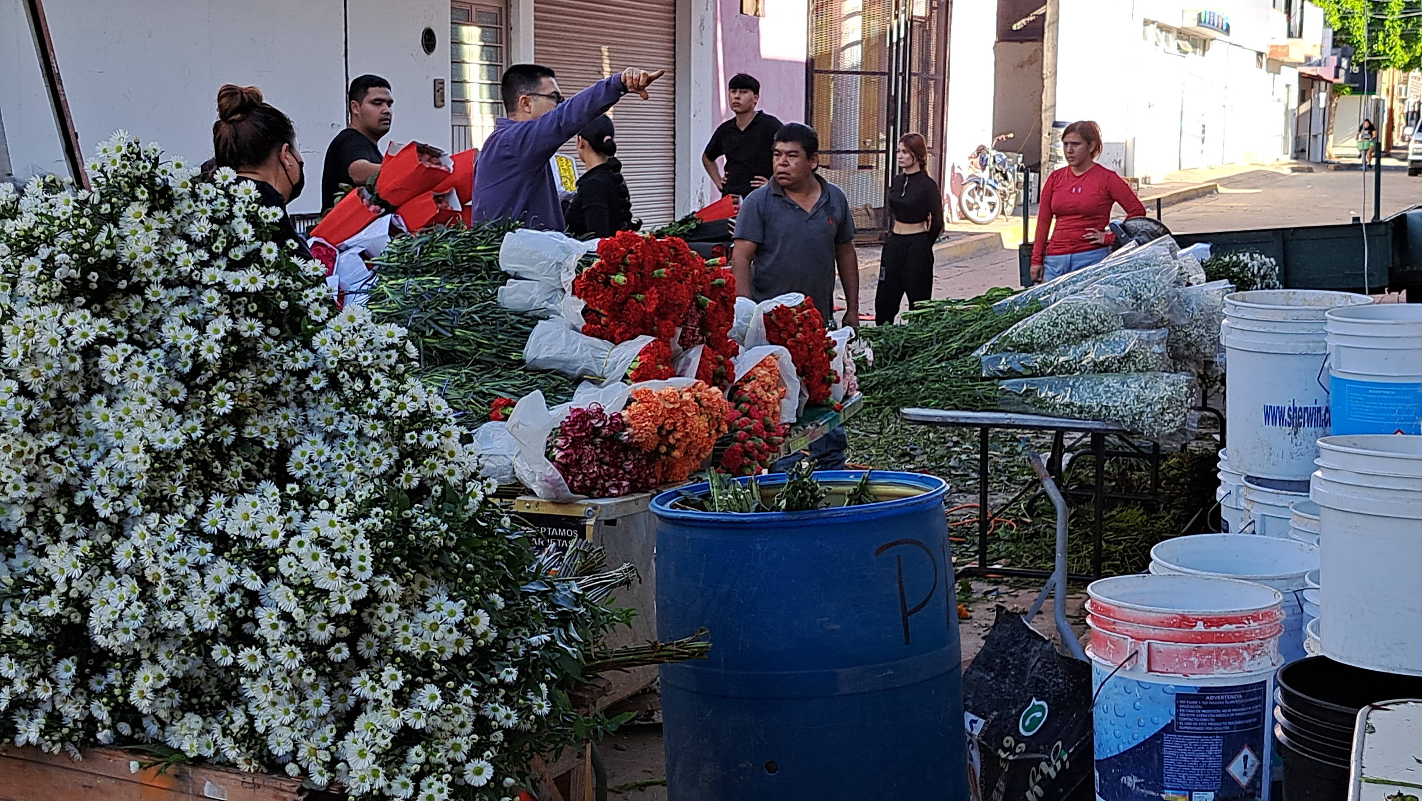 comercio de flores
