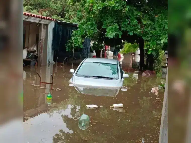 Las inundaciones por Lidia en La Paz