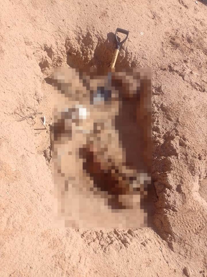 Hallazgo de osamentas en fosa clandestina 