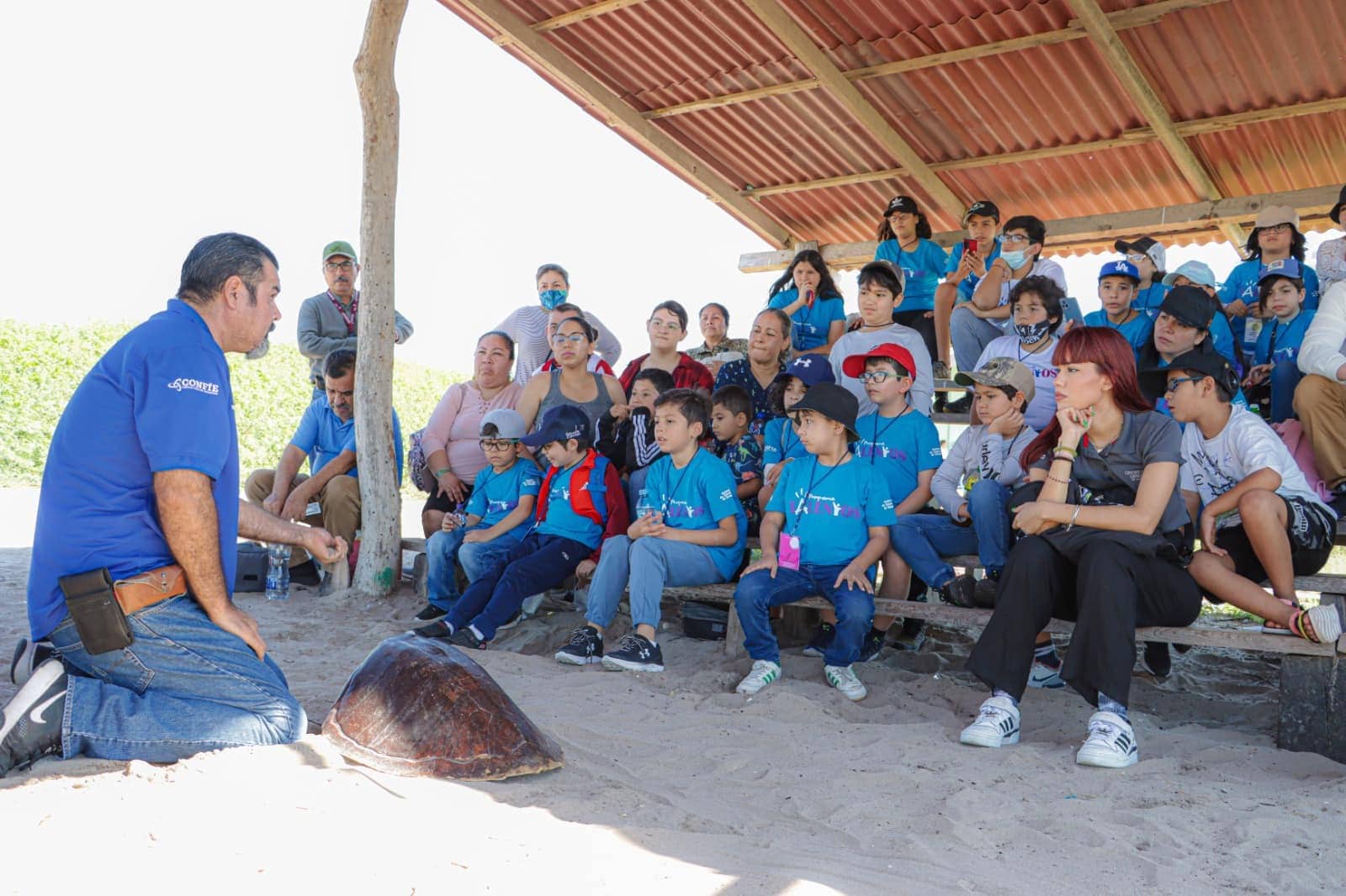 Programa de liberación de tortugas