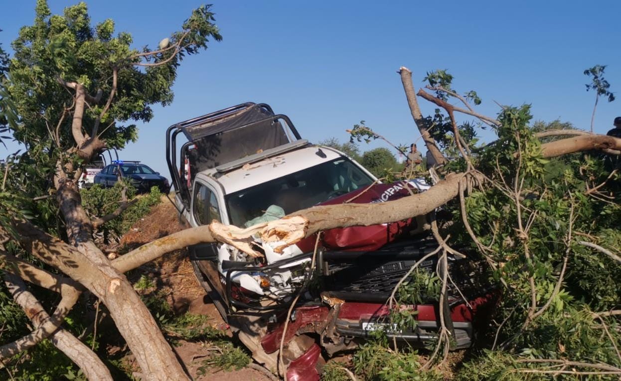 Patrulla destrozada tras choque contra un árbol