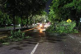 Arboles caídos en Culiacán por vientos fuertes