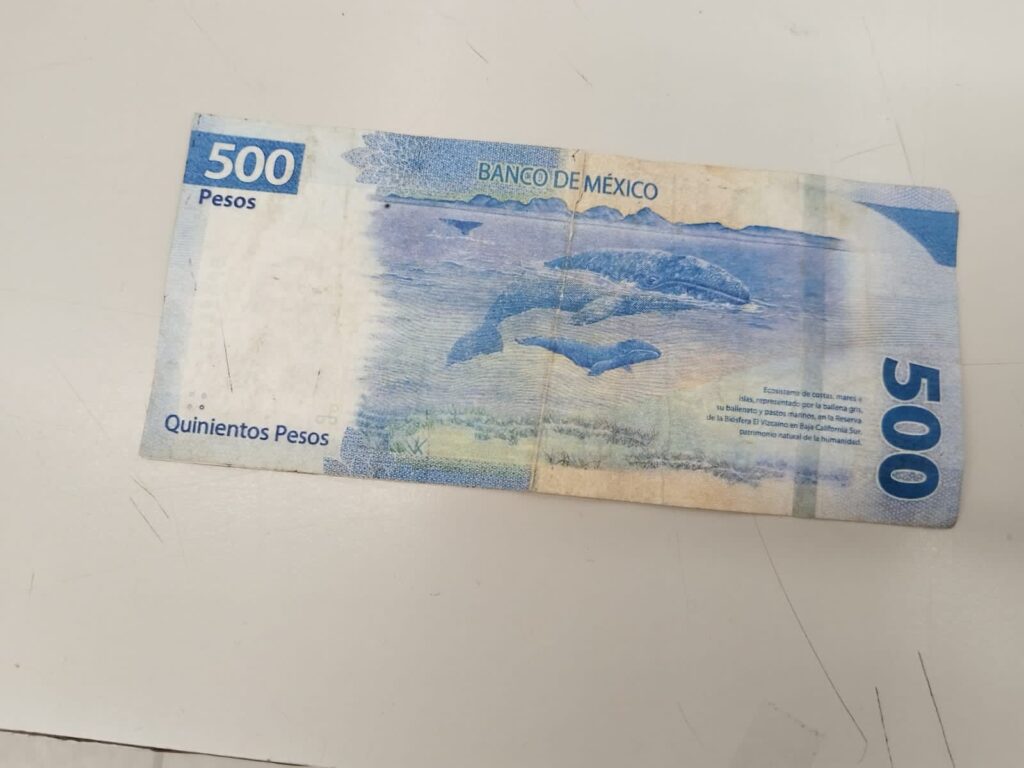 billetes falsos