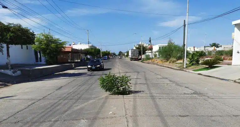 calle Monasterios, entre Monterrey Gabriel Leyva