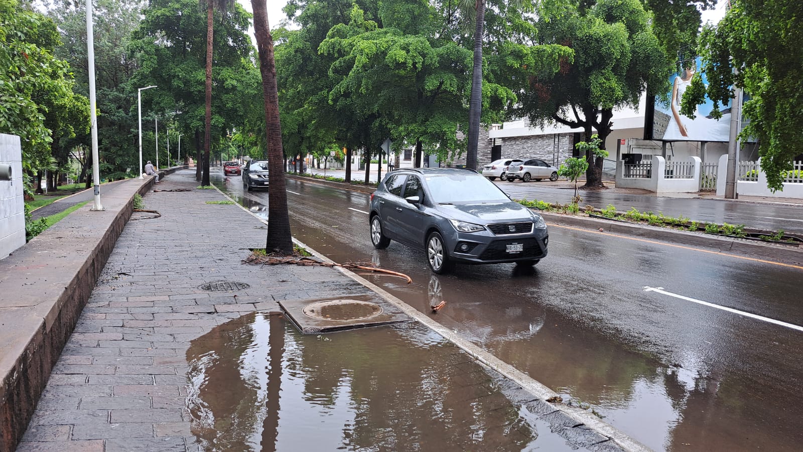 Daños ocasionados por tormenta tropical 