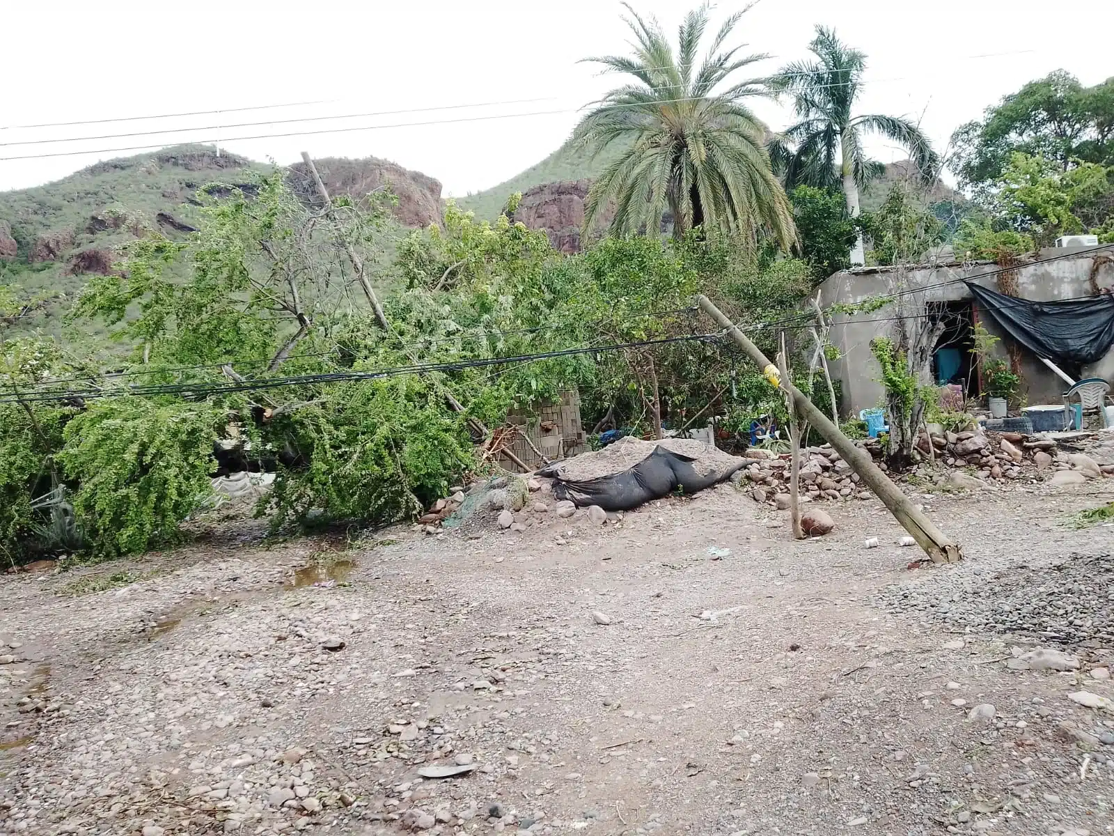 Campo pesquero destruido por 