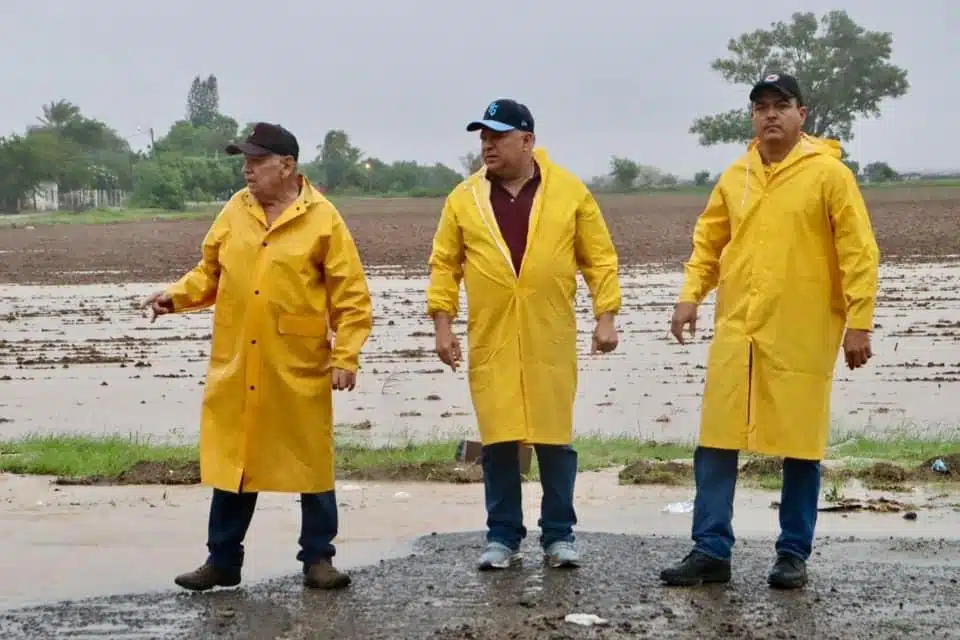 Autoridades en tierras