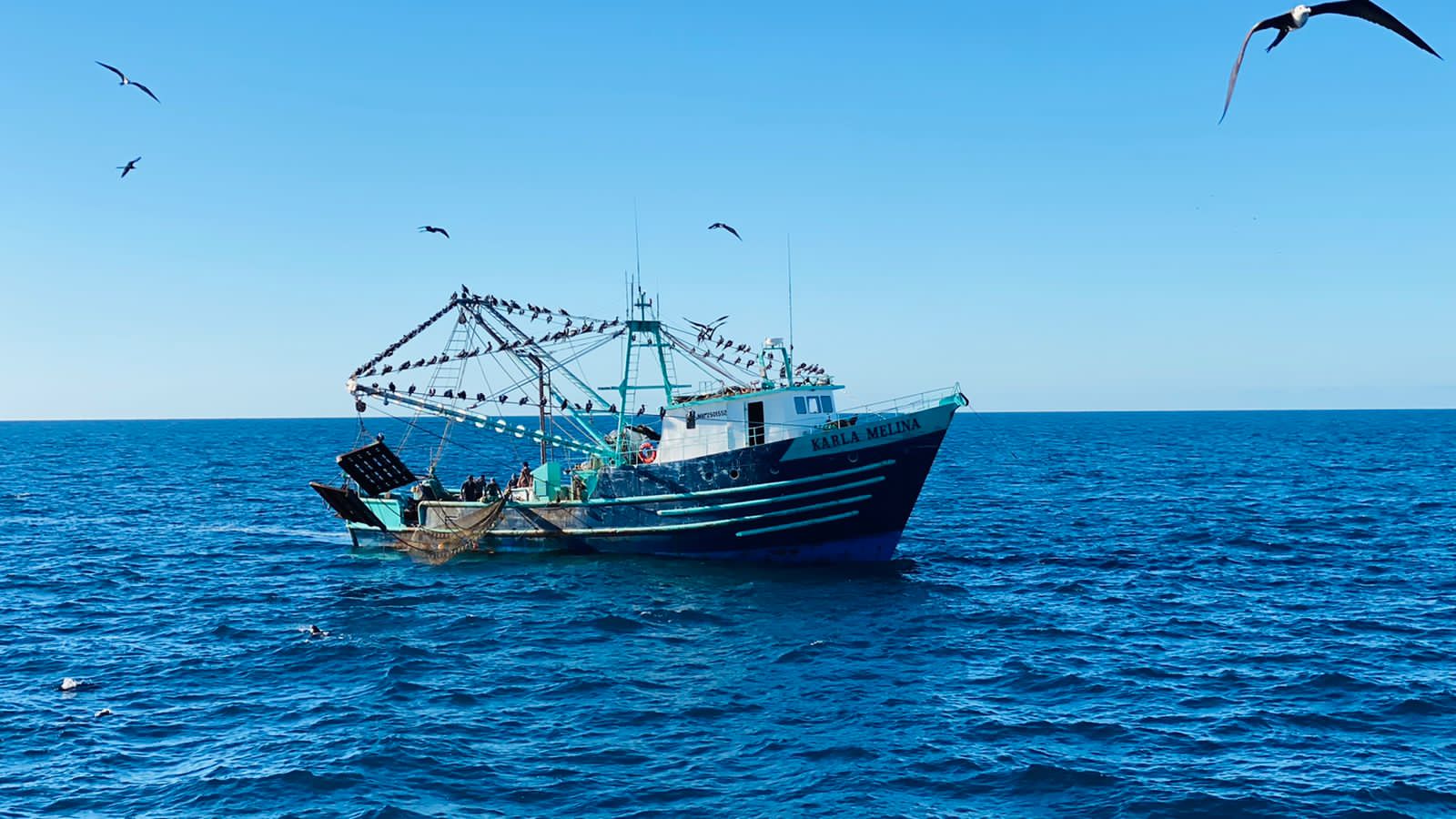 Bote en el mar