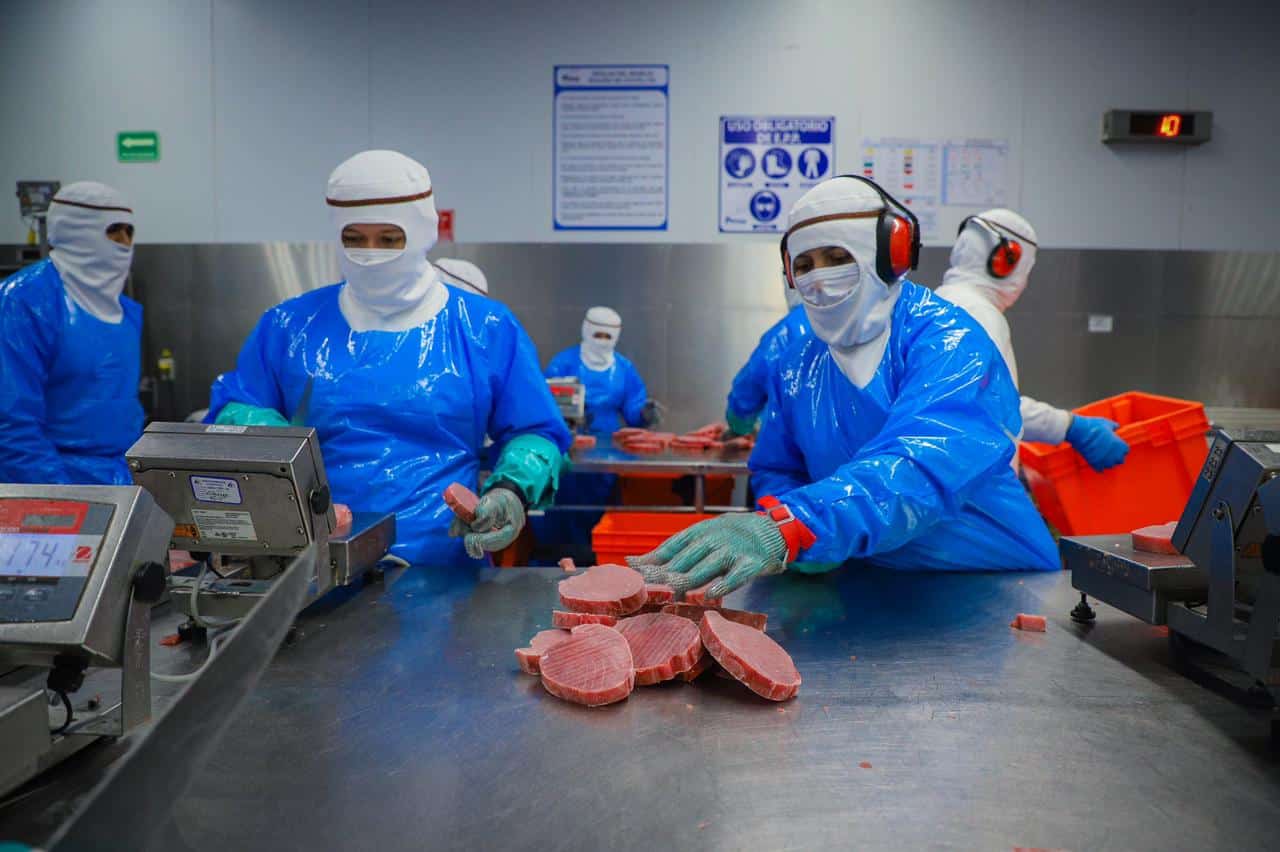 Mujeres realizando actividad de trabajo