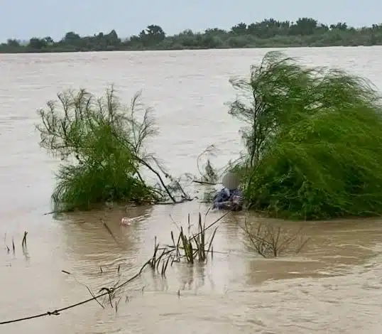 Hombre agarrándose de una cuerda en el arroyo