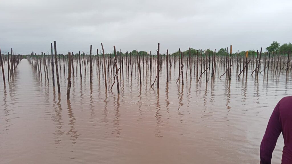 Inundación en siembra tras lluvia