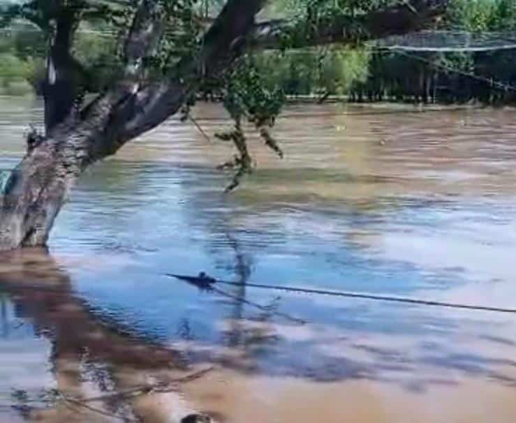 malecón de Sinaloa de Leyva