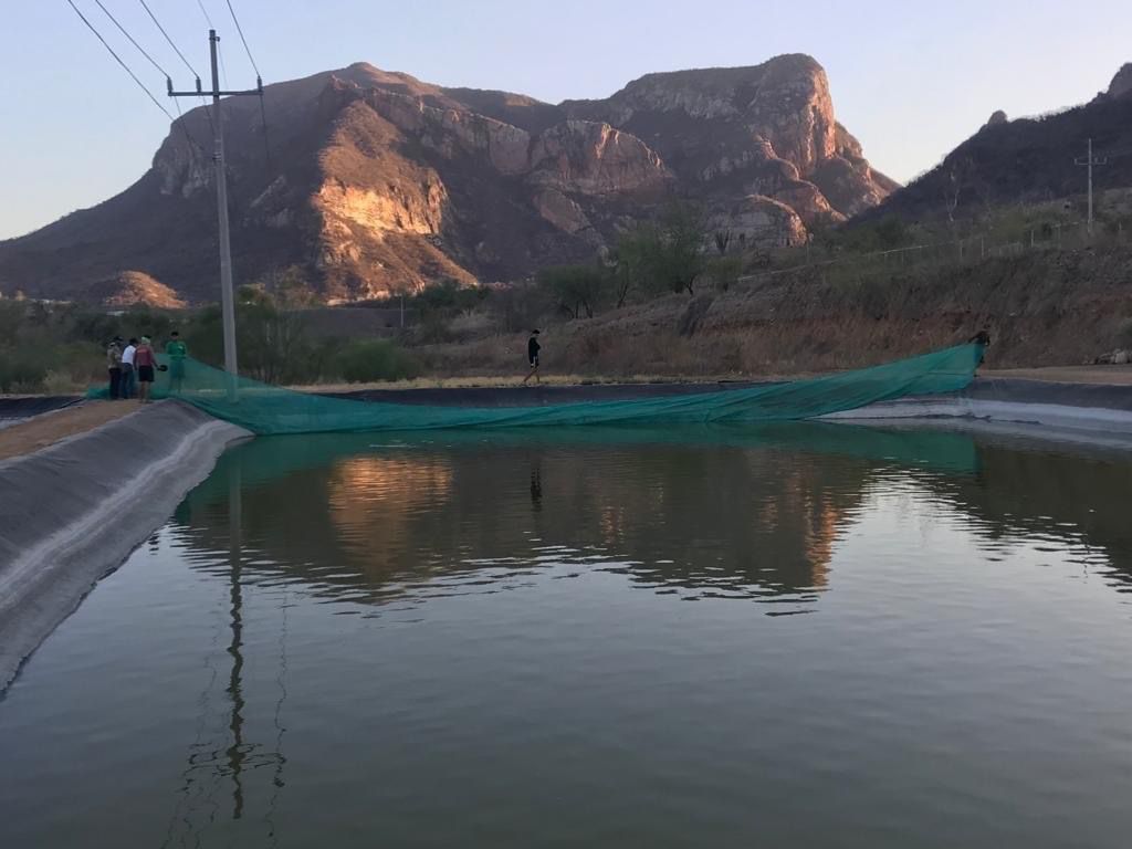 red de pesca siendo colocada por pescadores en Choix