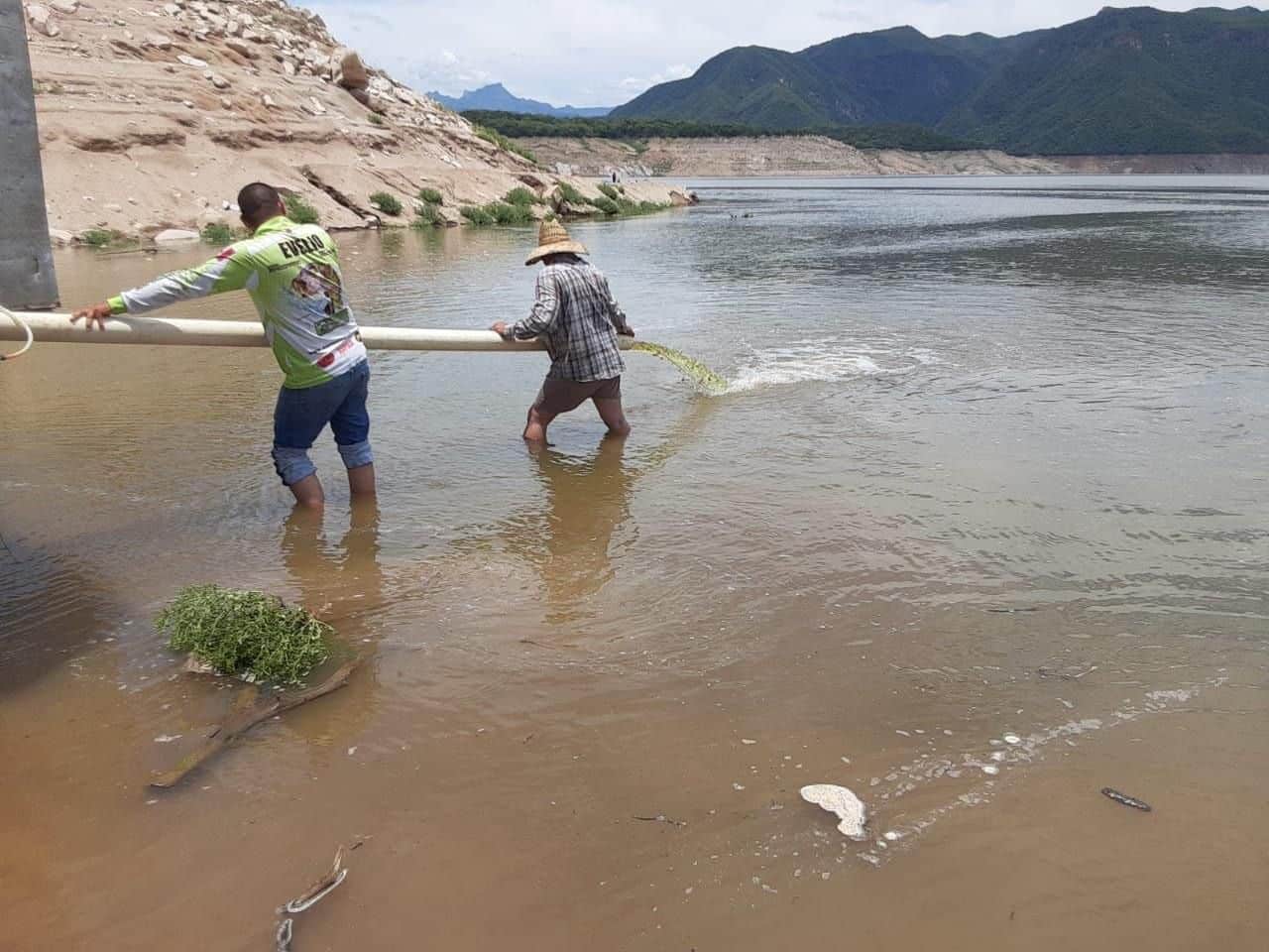 pescadores de Choix
