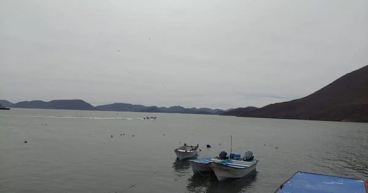 lanchas en puerto de Topolobampo