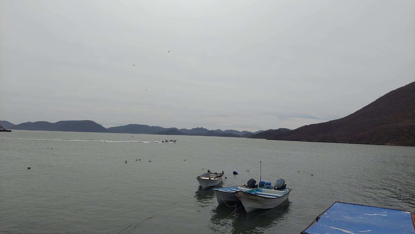 Embarcaciones en aguas