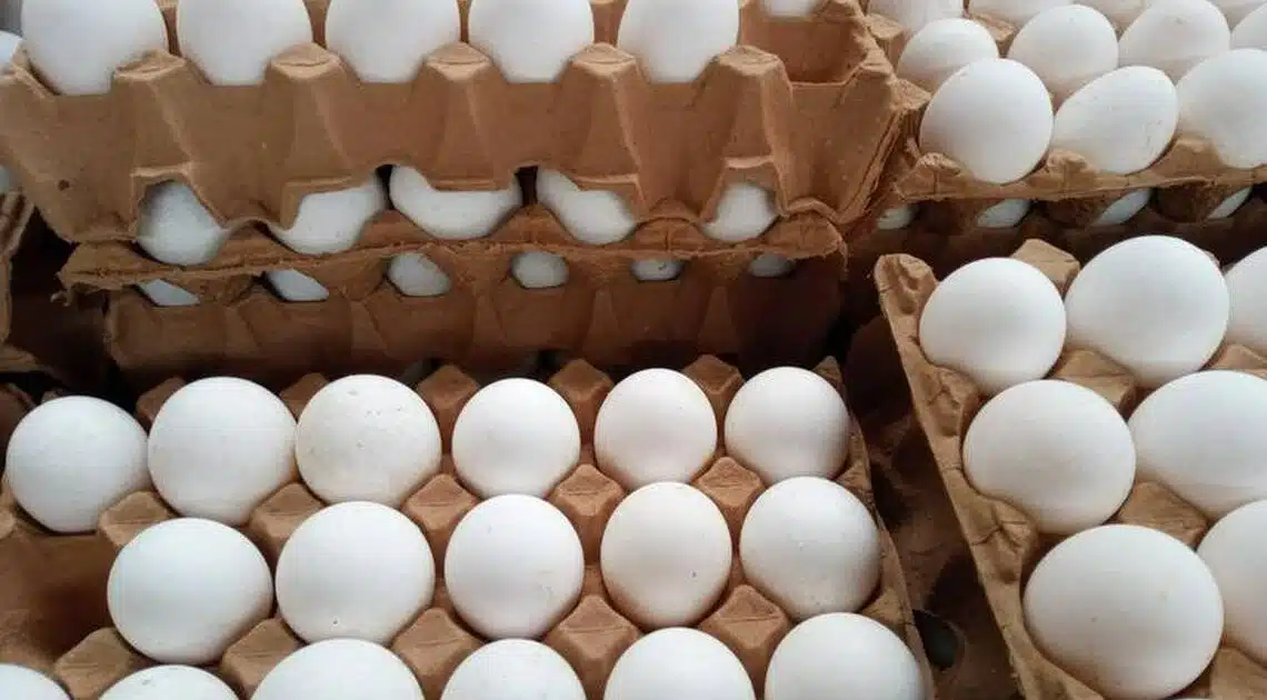 El precio del huevo subirá 2 pesos en Mazatlán.