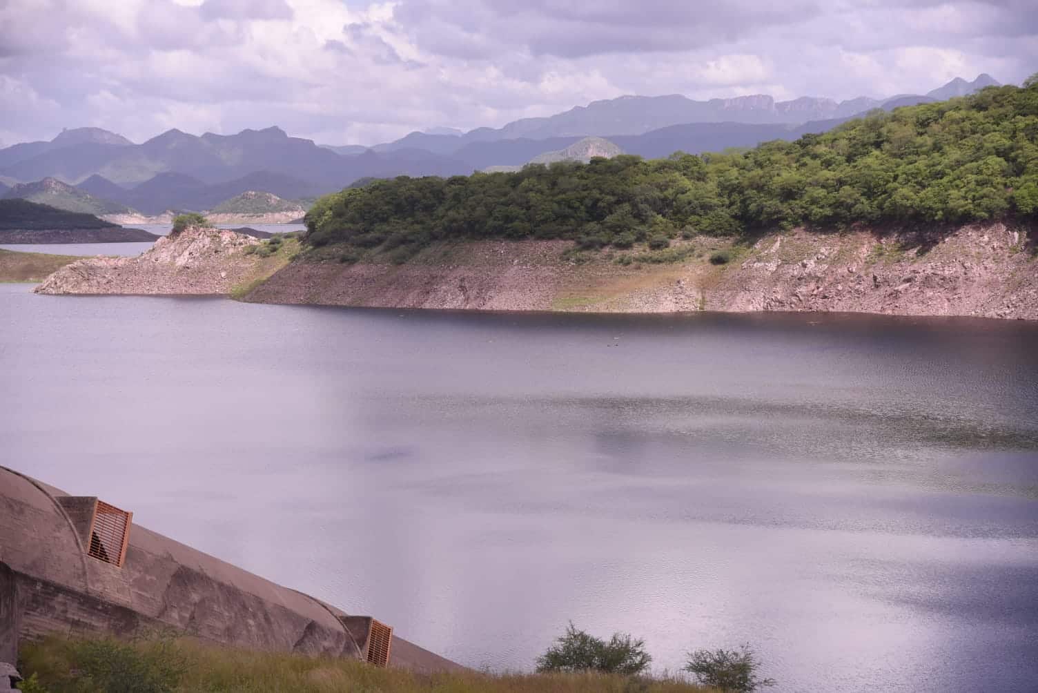 Presa