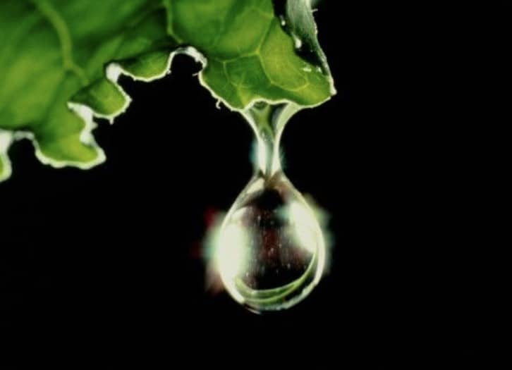 Gota de lluvia cayendo