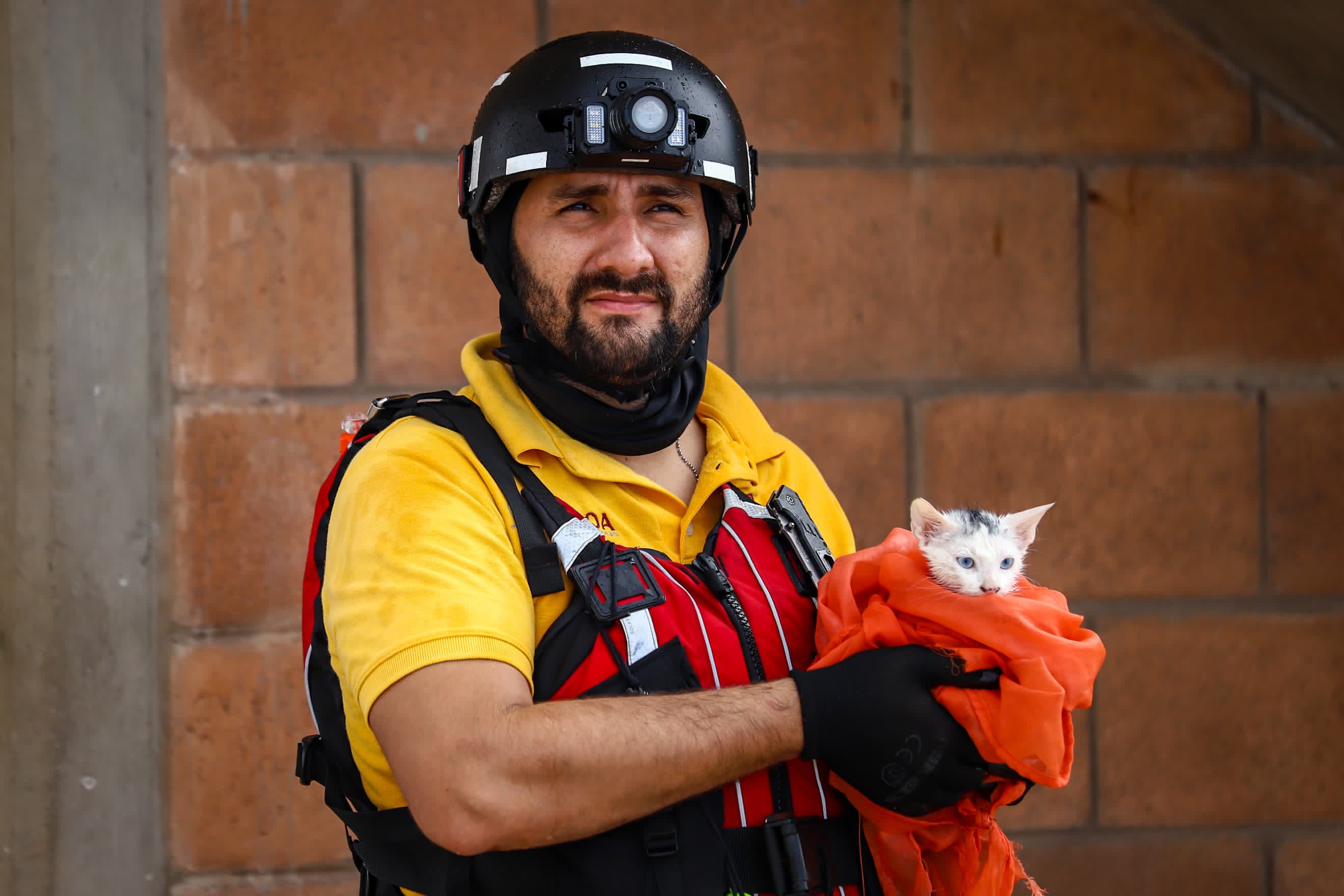Rescate de animales en Villa Juárez