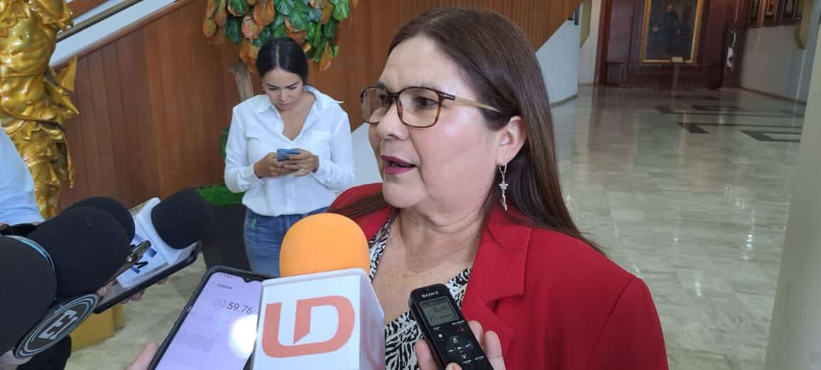 senadora de la República, Imelda Castro Castro