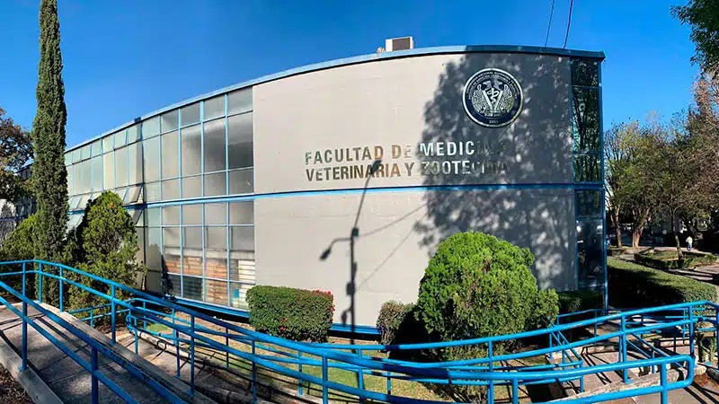 ¡Otra vez! Ahora reportan chinches en la Facultad de Veterinaria de la UNAM
