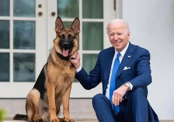 ¡Perrito malo! Expulsan al can de Biden de la Casa Blanca por agresivo