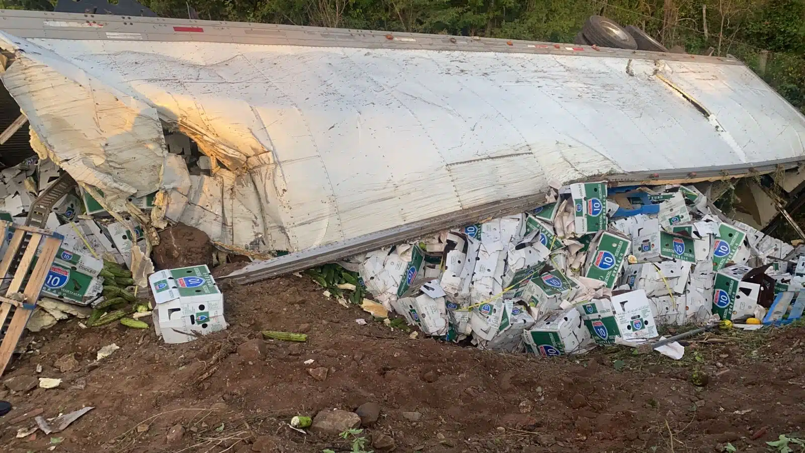 Tráiler con carga de verdura volcado